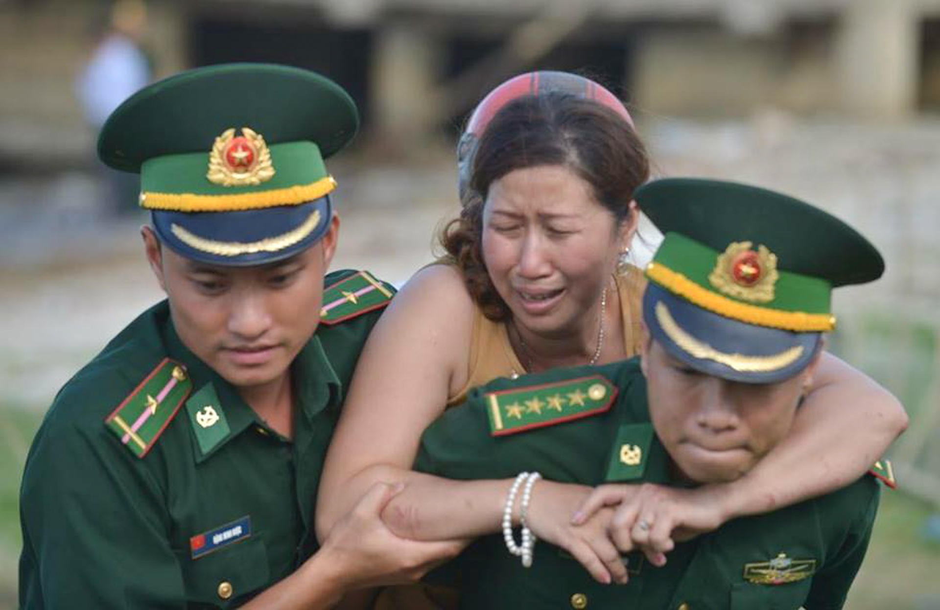 chim tau du lich o Da Nang anh 3