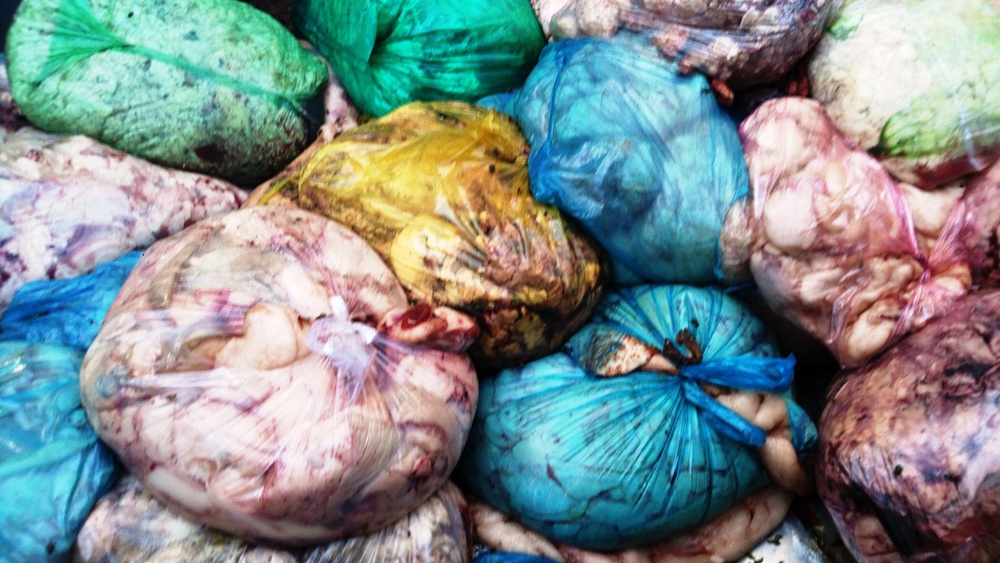 Phat hien 13 tan thit mo dong vat hoi thoi hinh anh