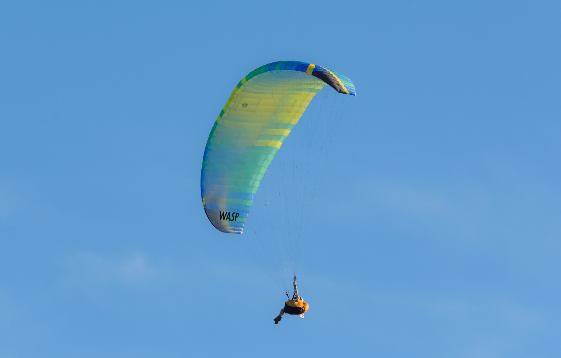 Cuoc thi du luong tai Da Nang 2016 anh 10