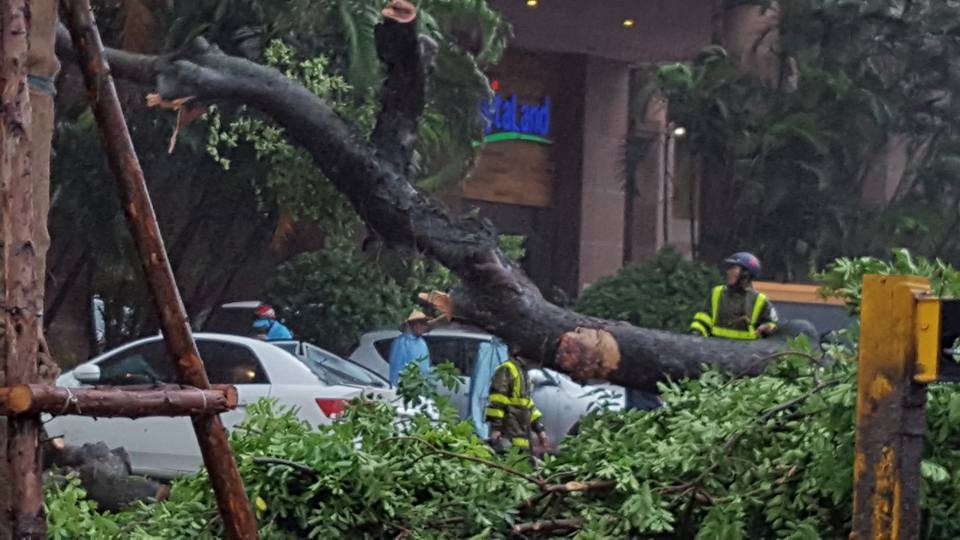 Thu tuong: Dung cac cuoc hop de doi pho voi mua lu sau bao hinh anh