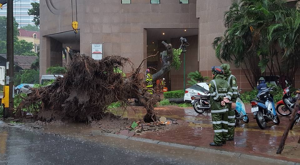 Cong dien cua Thu tuong ve doi pho voi mua lu sau bao so 3 anh 1