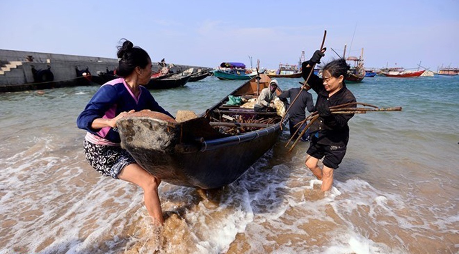 Phan lon bien mien Trung an toan de tam, nuoi trong thuy san hinh anh