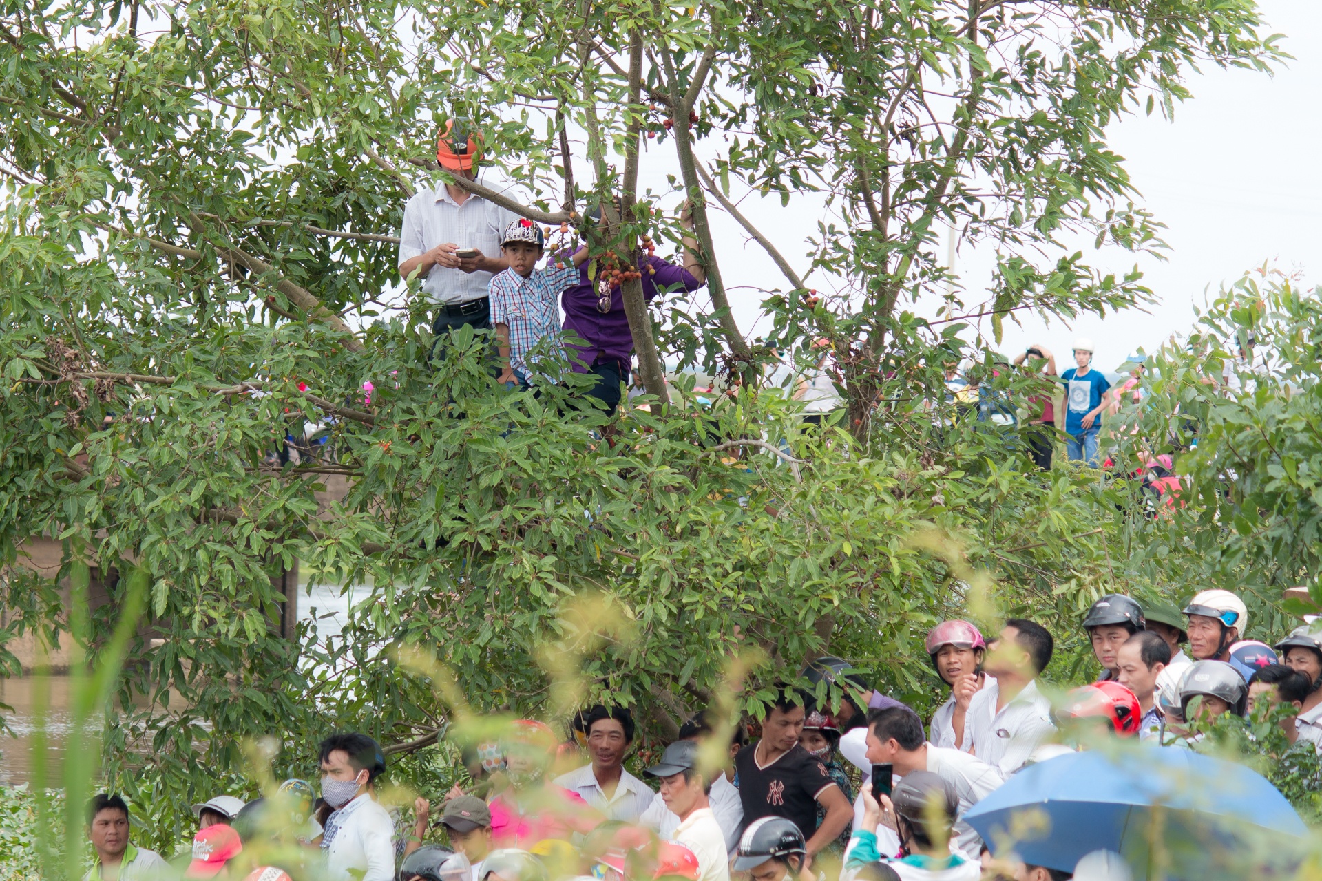 Du khach keo den Quang Binh xem dua thuyen anh 5