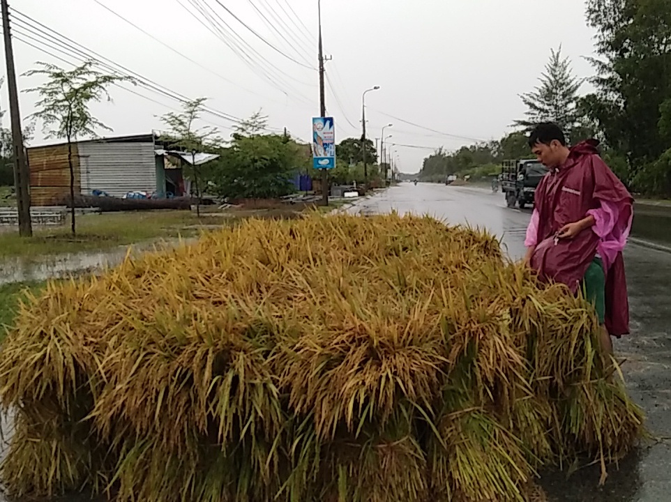 Bão số 4 ảnh 2 Bao so 4 anh 2