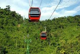 Khong co chuyen xay cap treo len nui Son Tra hinh anh