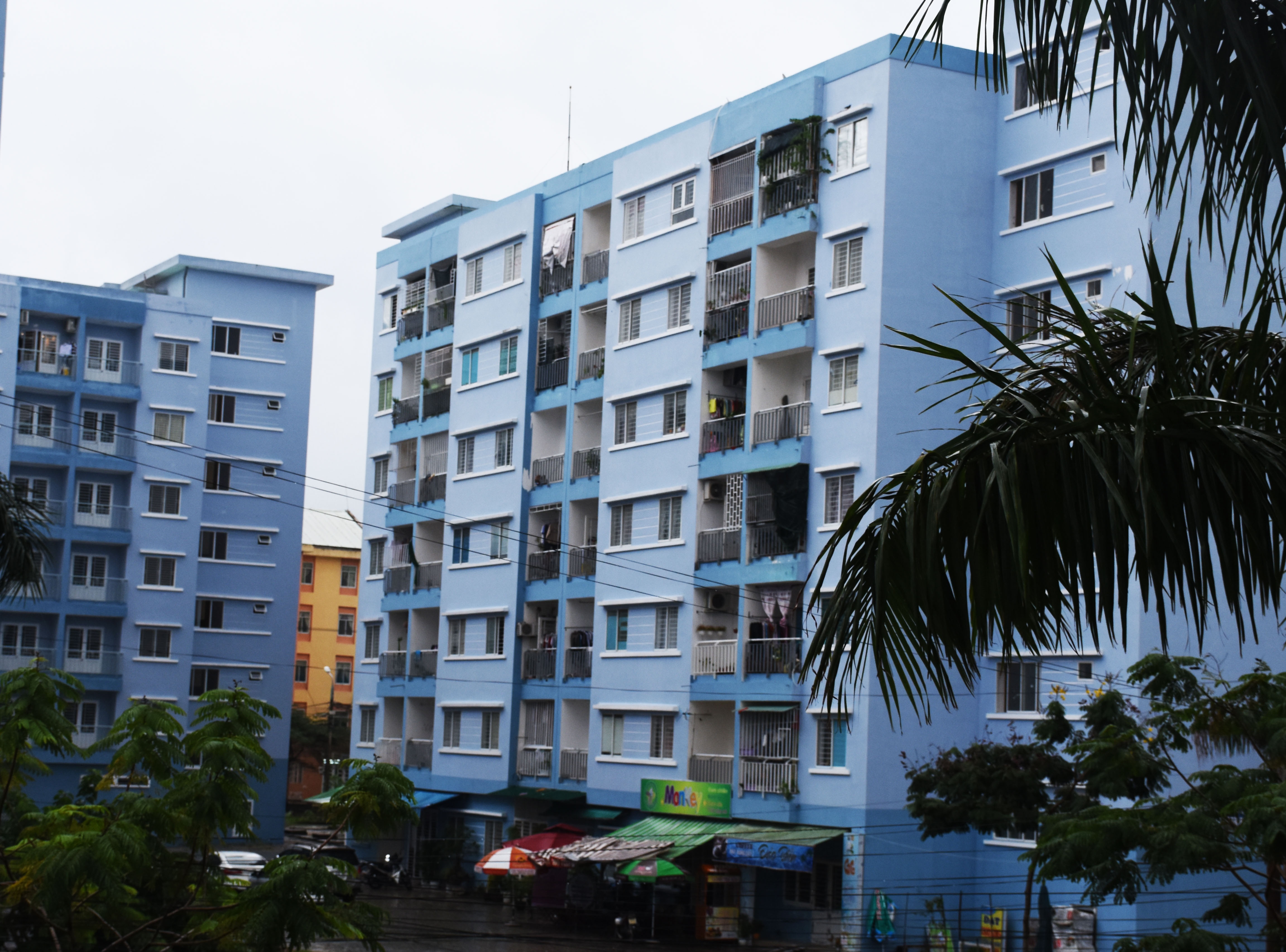 'Dan ngheo o chung cu Da Nang la rat dung cam' hinh anh