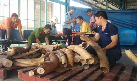Boc me manh khoe buon lau nga voi hinh anh