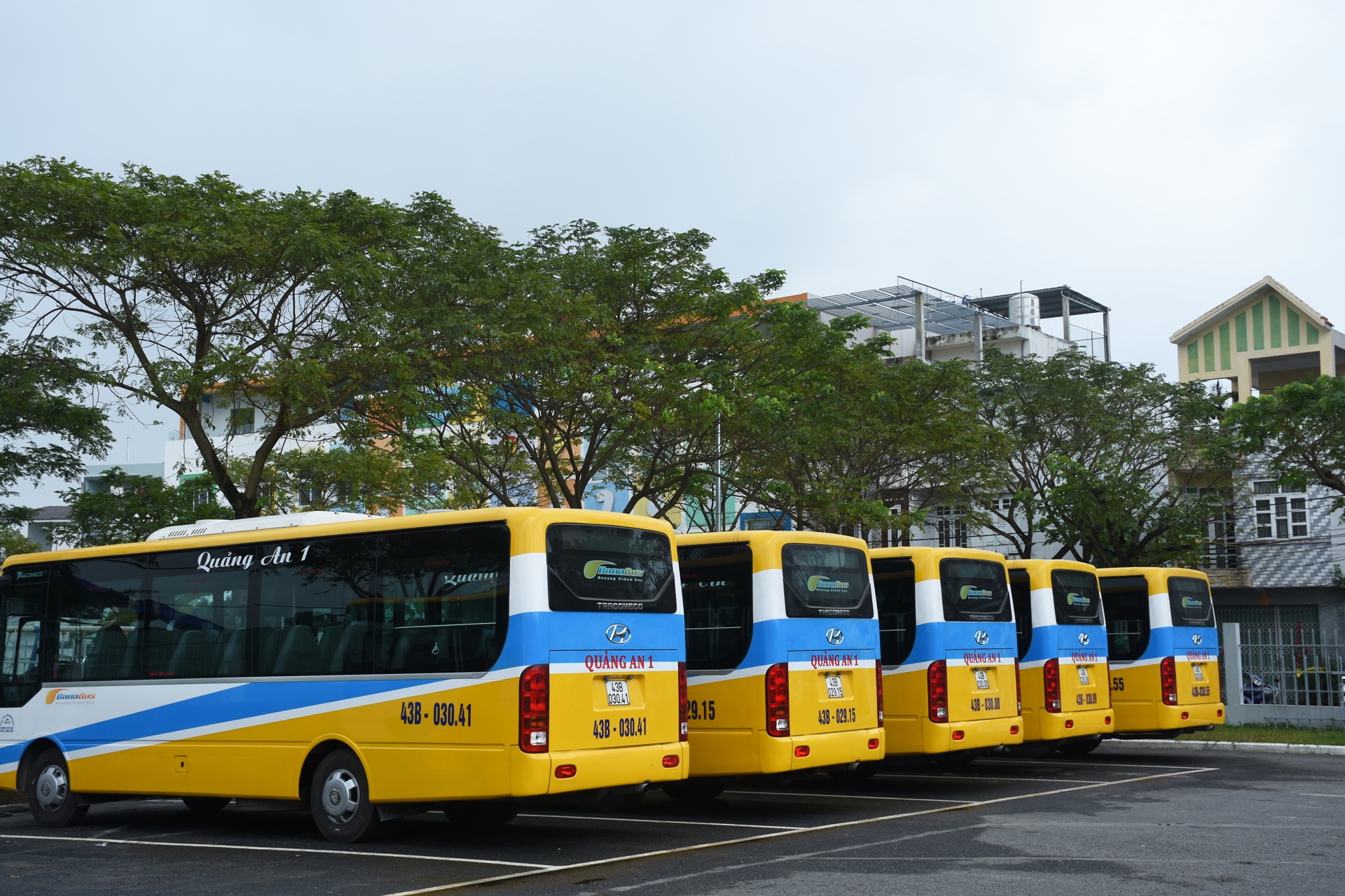 Xe buyt tro gia o Da Nang vang khach anh 2