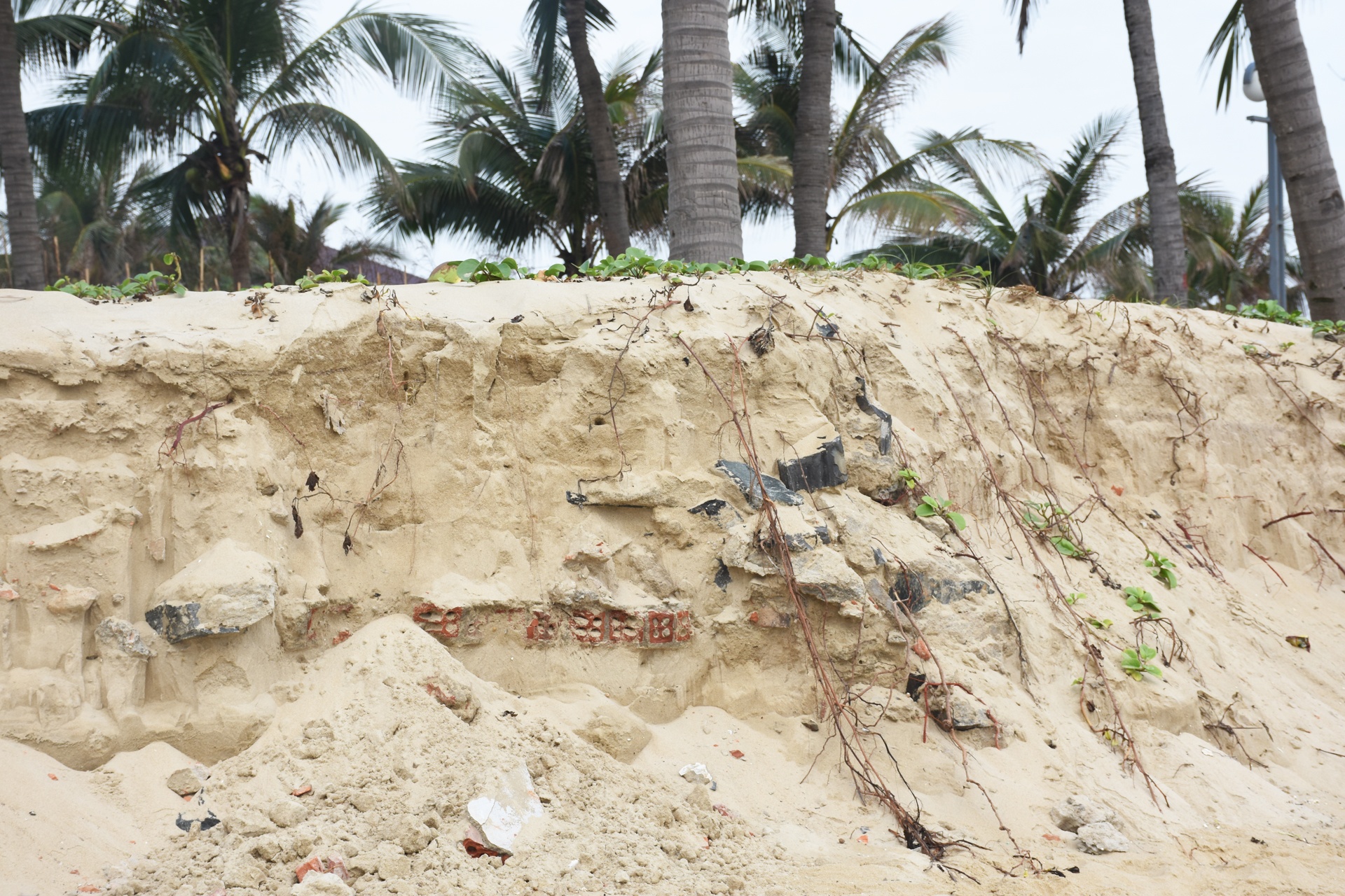 Bai bien Da Nang sat lo anh 6