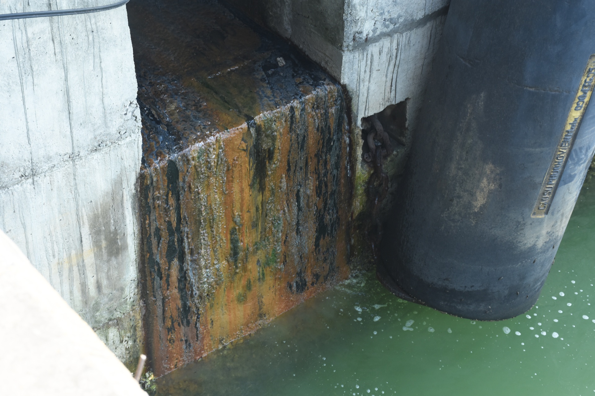 Xả thải nước màu đỏ ở Đà Nẵng ảnh 3 Xa thai nuoc mau do o Da Nang anh 3