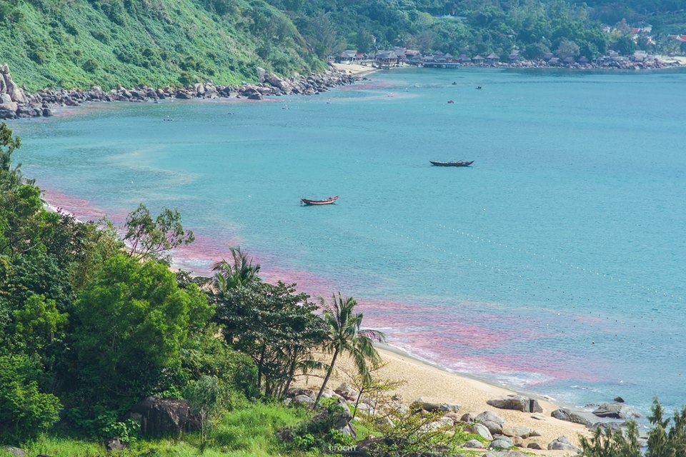 Au trung ruoc khien nuoc bien Da Nang chuyen mau do hinh anh