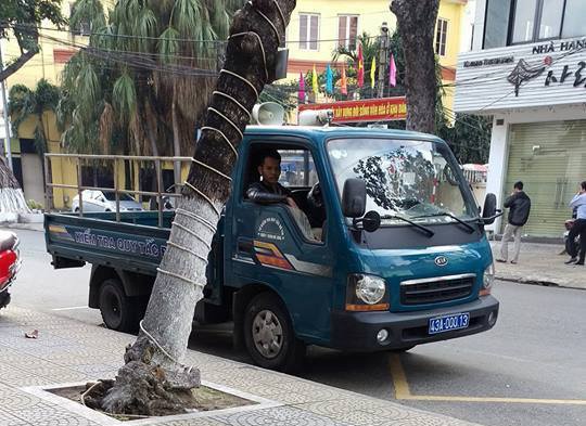 Dan gui hinh qua Facebook, Da Nang phat tai xe xe bien xanh hinh anh
