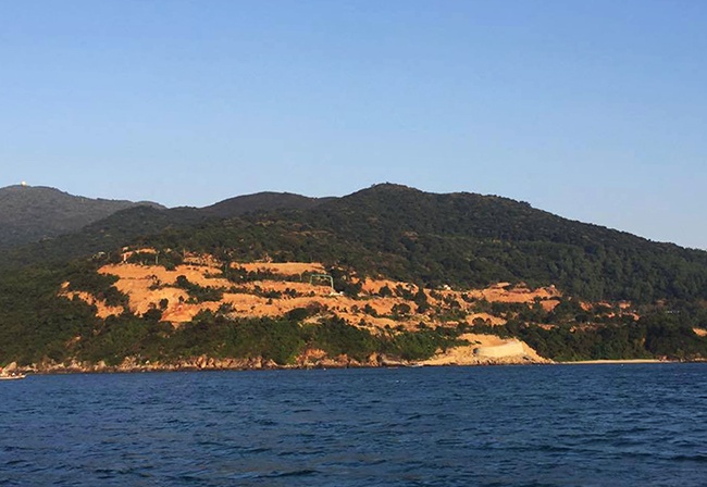 Rừng Sơn Trà bị băm nát ảnh 1 Rung Son Tra bi bam nat anh 1