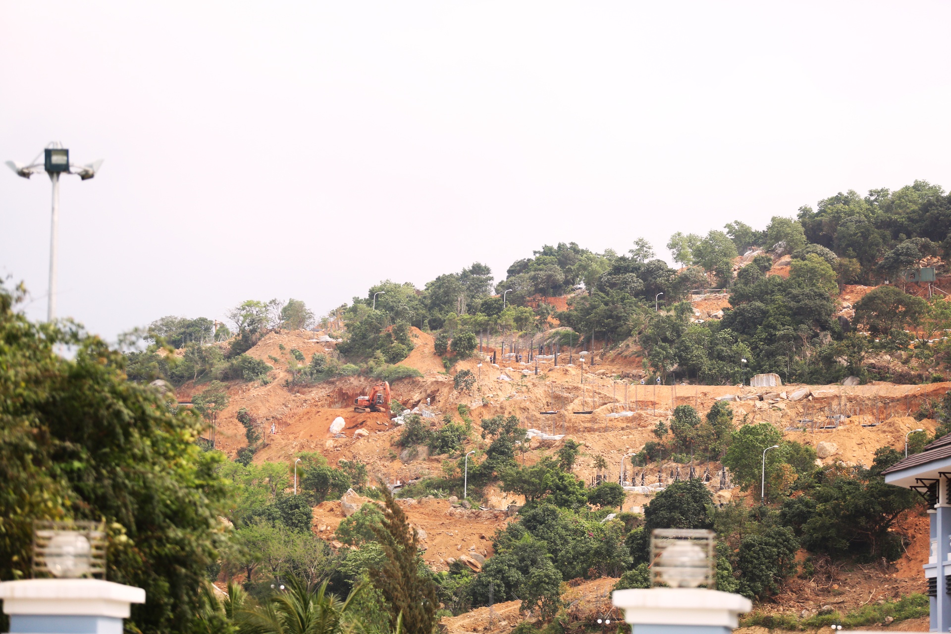 Da Nang se kien nghi Thu tuong xem lai quy hoach Son Tra hinh anh