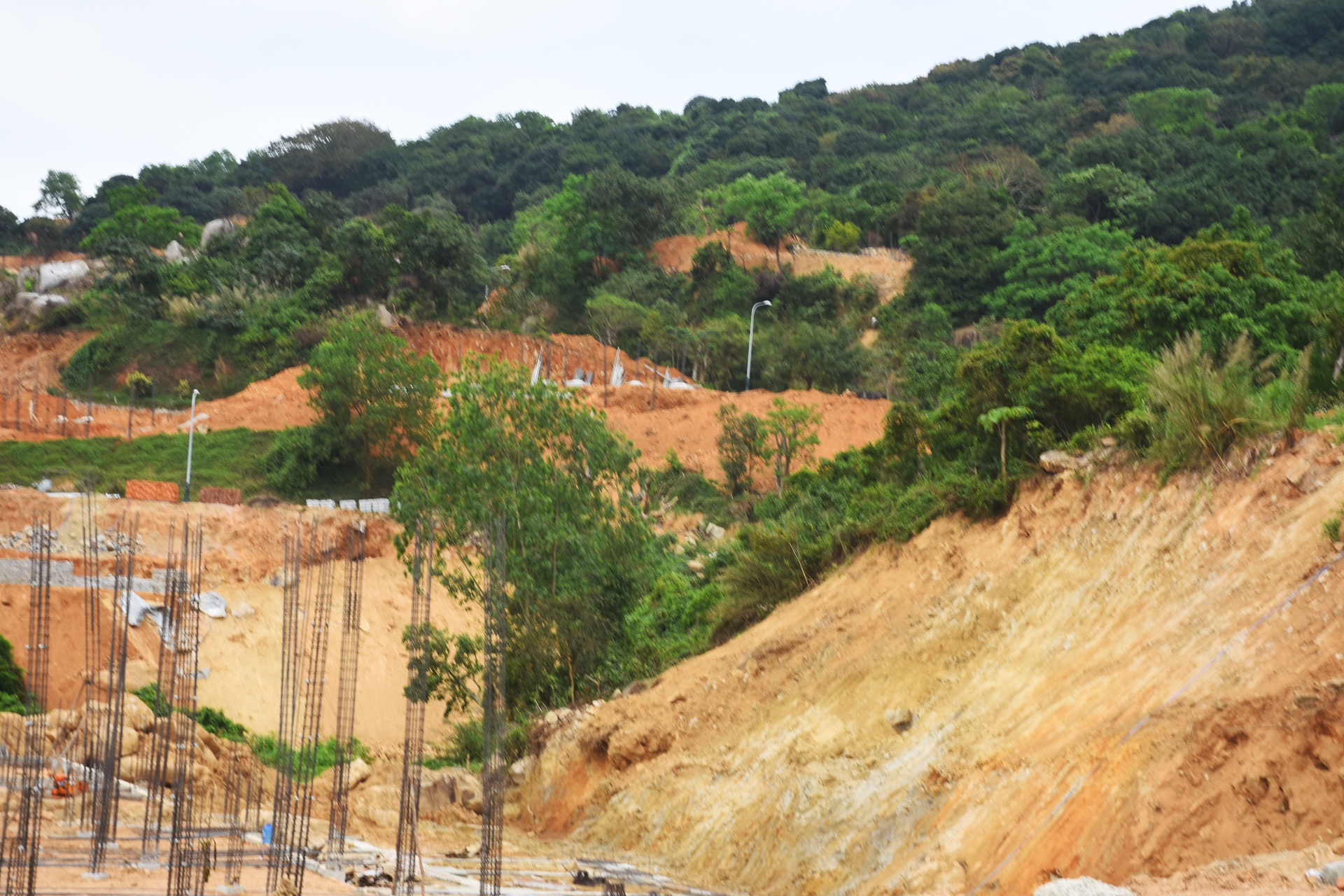 Vu xoi nui Son Tra o Da Nang: Lam ro trach nhiem nguoi dung dau hinh anh