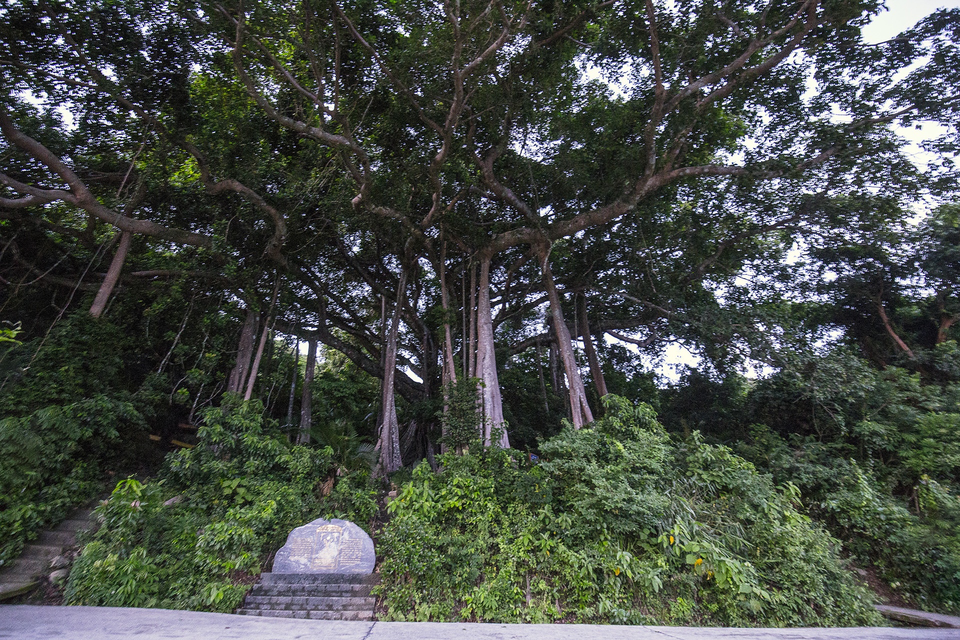 Toan canh Son Tra nhin tu bau troi anh 7