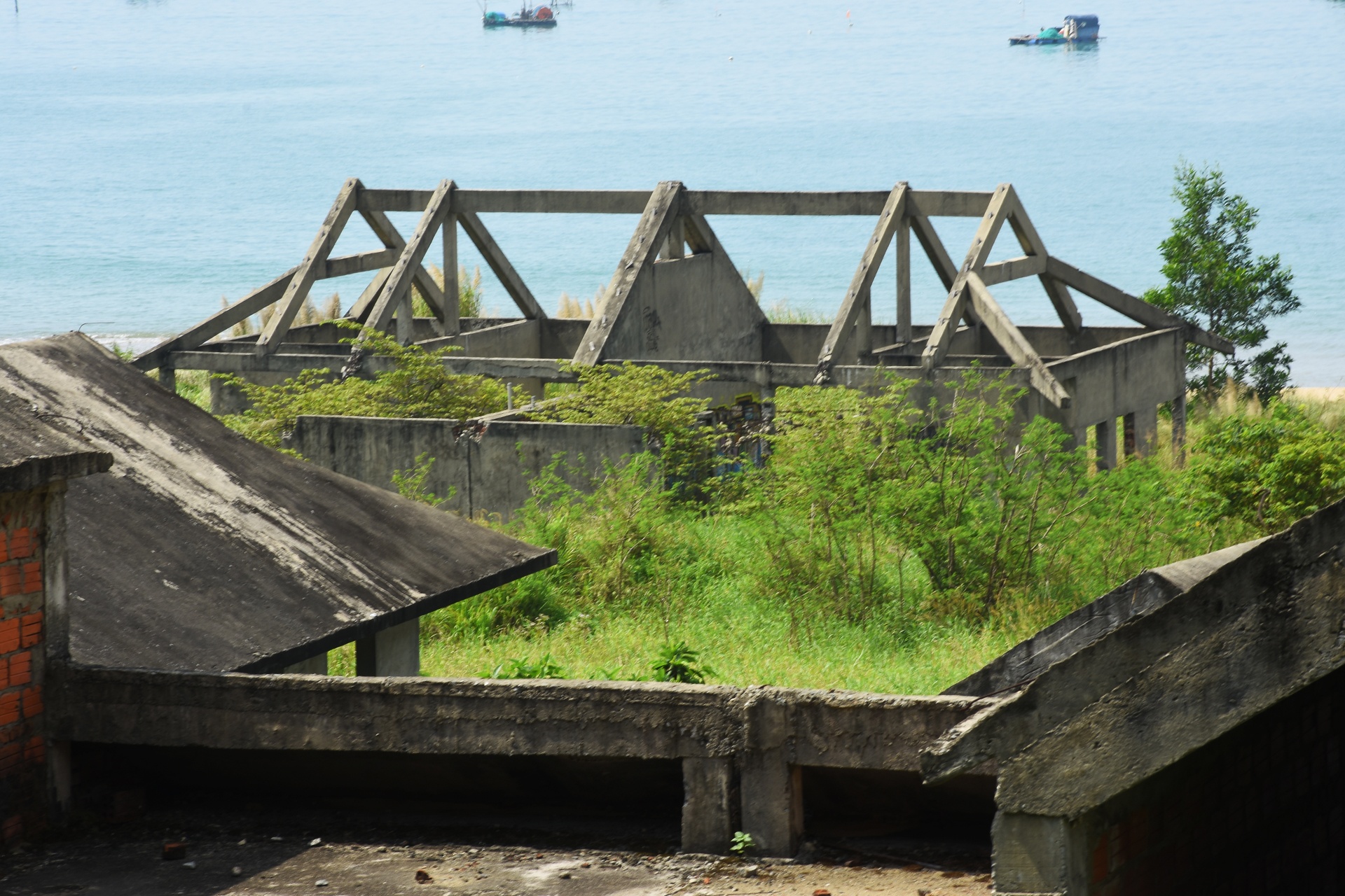 Nhung du an bo hoang tren ban dao Son Tra anh 10