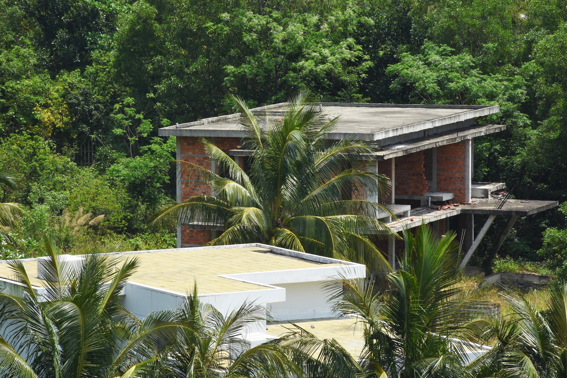 Nhung du an bo hoang tren ban dao Son Tra anh 11