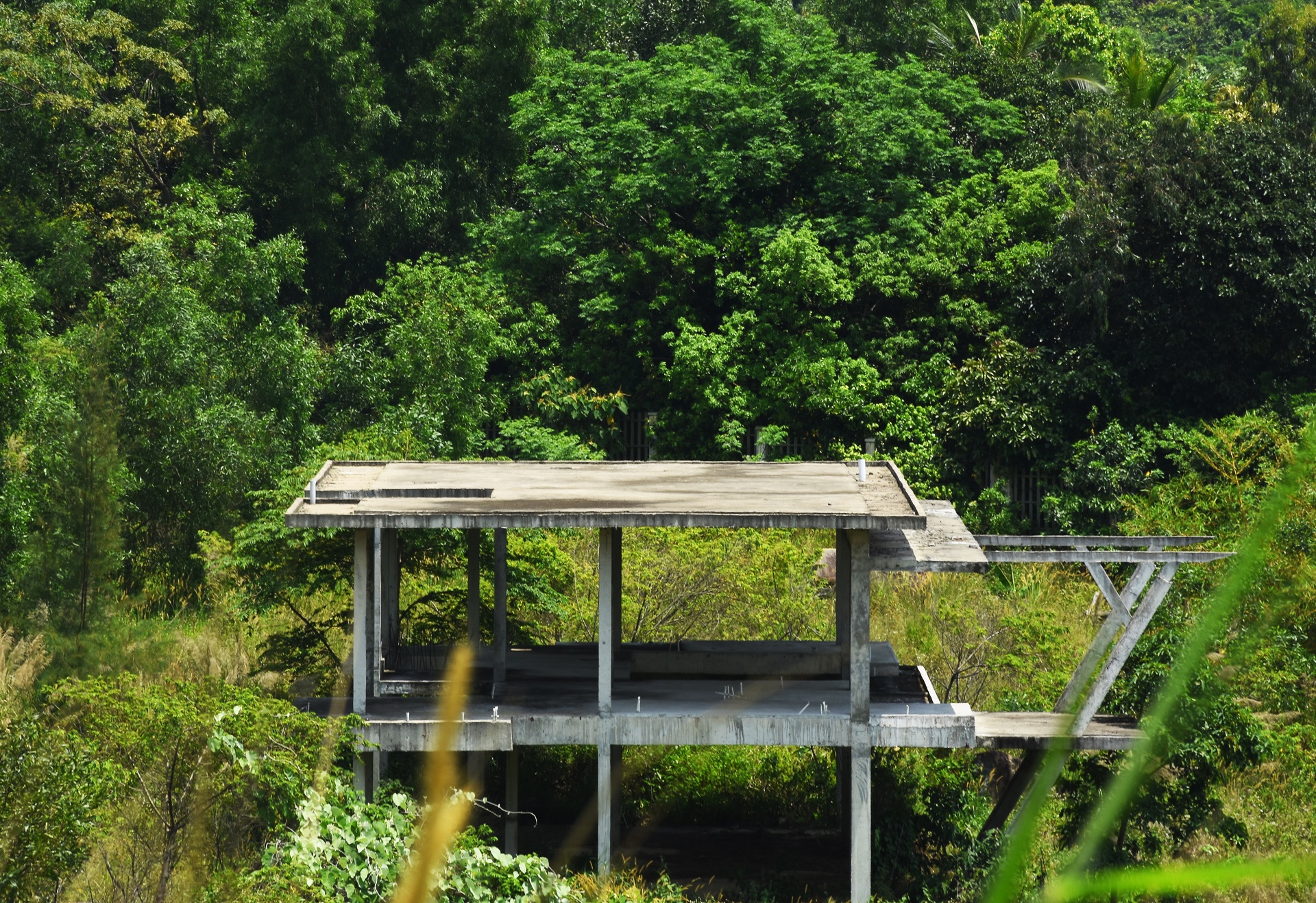 Nhung du an bo hoang tren ban dao Son Tra anh 12