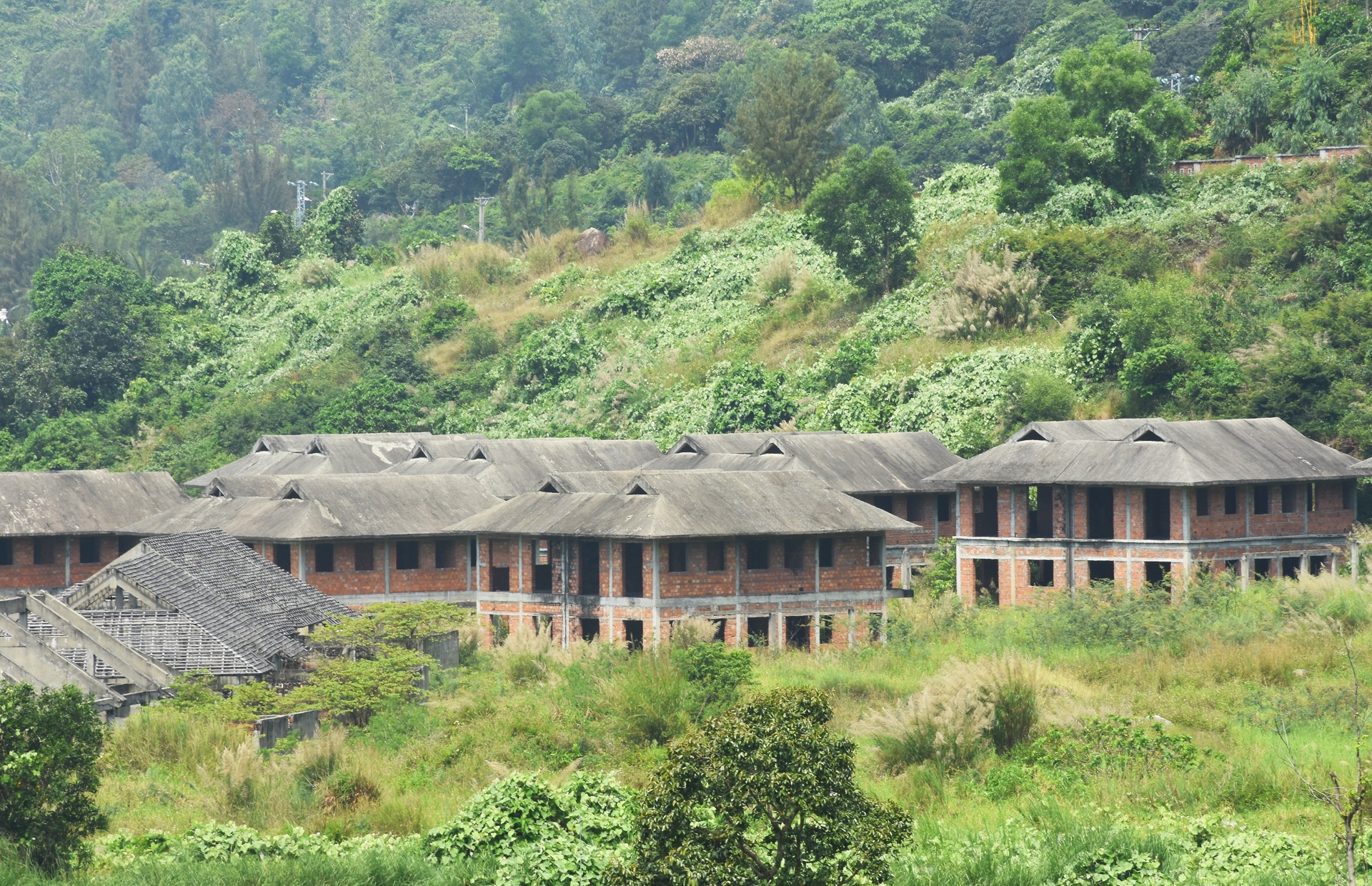 Quy hoạch chung về bán đảo Sơn Trà ảnh 3 Quy hoach chung ve ban dao Son Tra anh 3