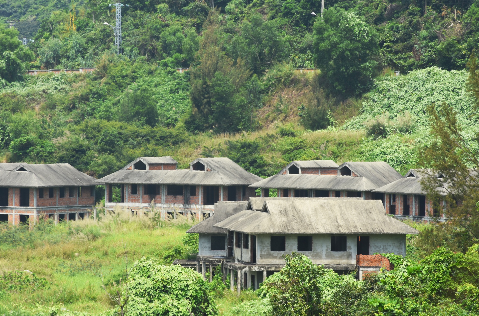 Dao xoi Son Tra lam khach san anh 2