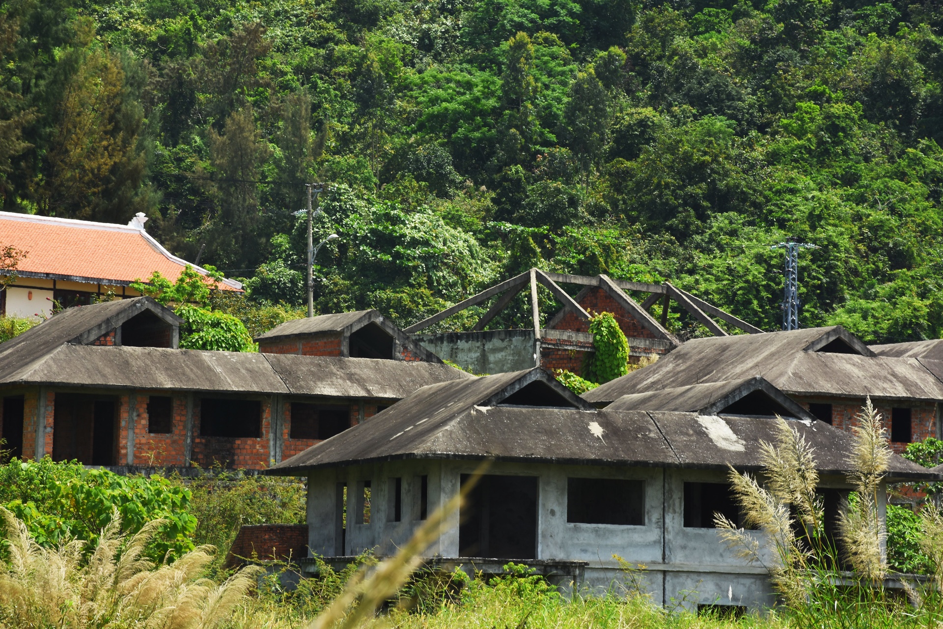Nhung du an bo hoang tren ban dao Son Tra anh 4