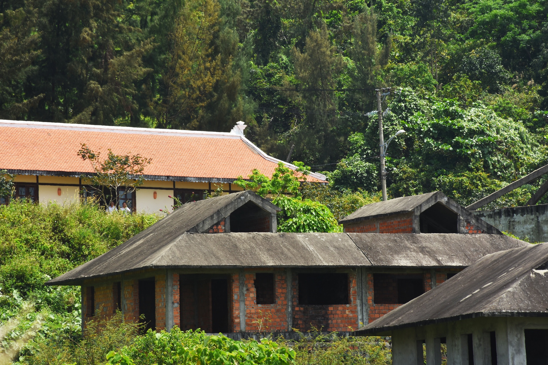 Hang loat biet thu bo hoang duoi chan nui Son Tra hinh anh