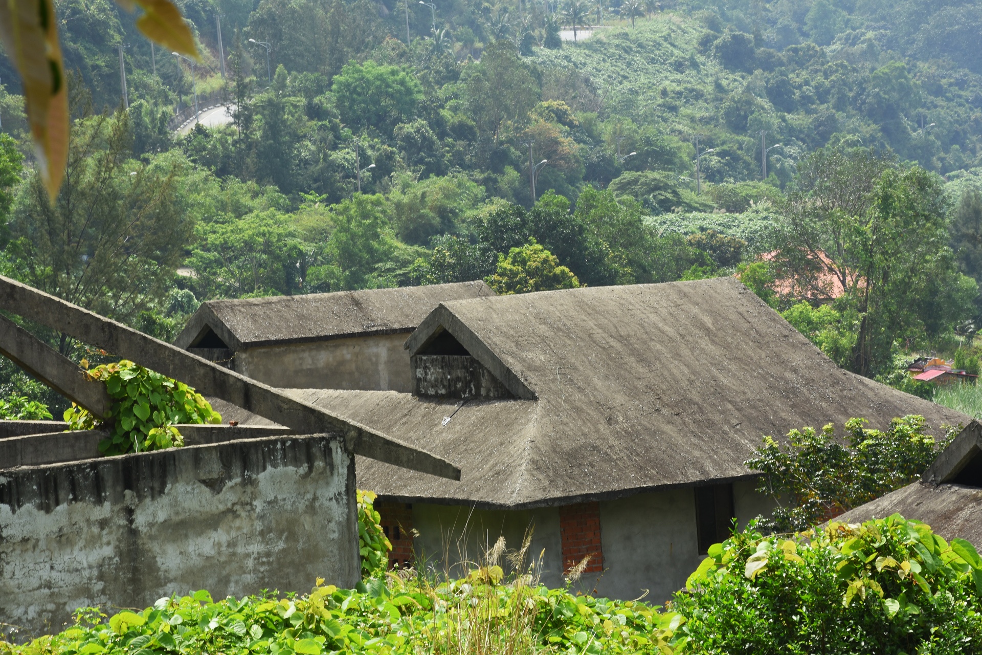 Nhung du an bo hoang tren ban dao Son Tra anh 6