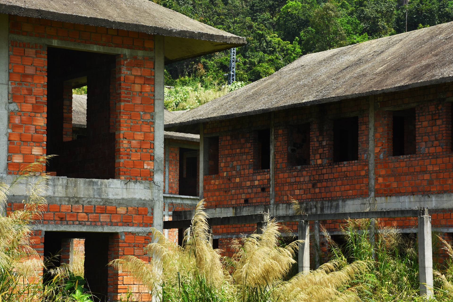 Nhung du an bo hoang tren ban dao Son Tra anh 9