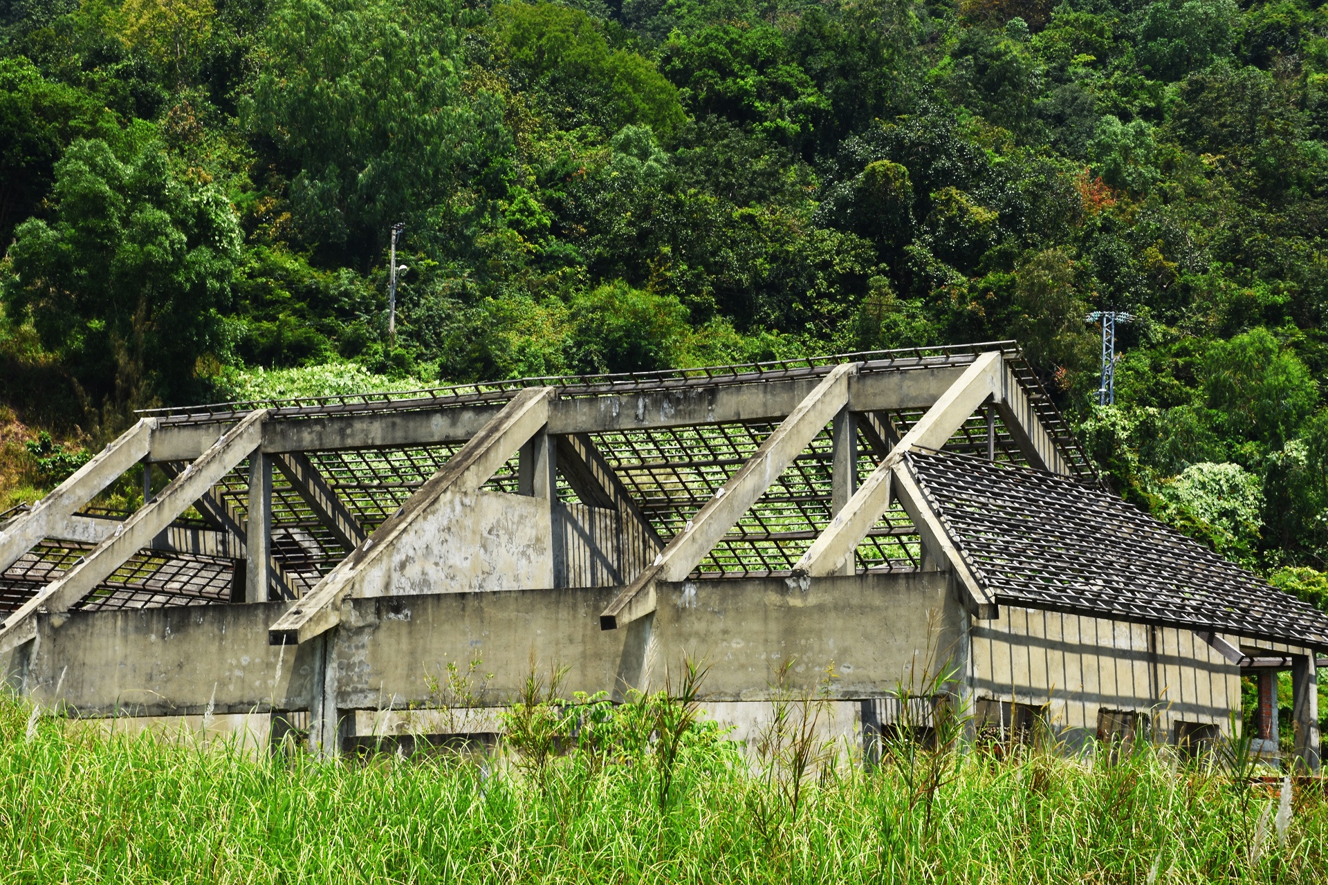 Da Nang se thu hoi cac du an cham trien khai o ven bien hinh anh