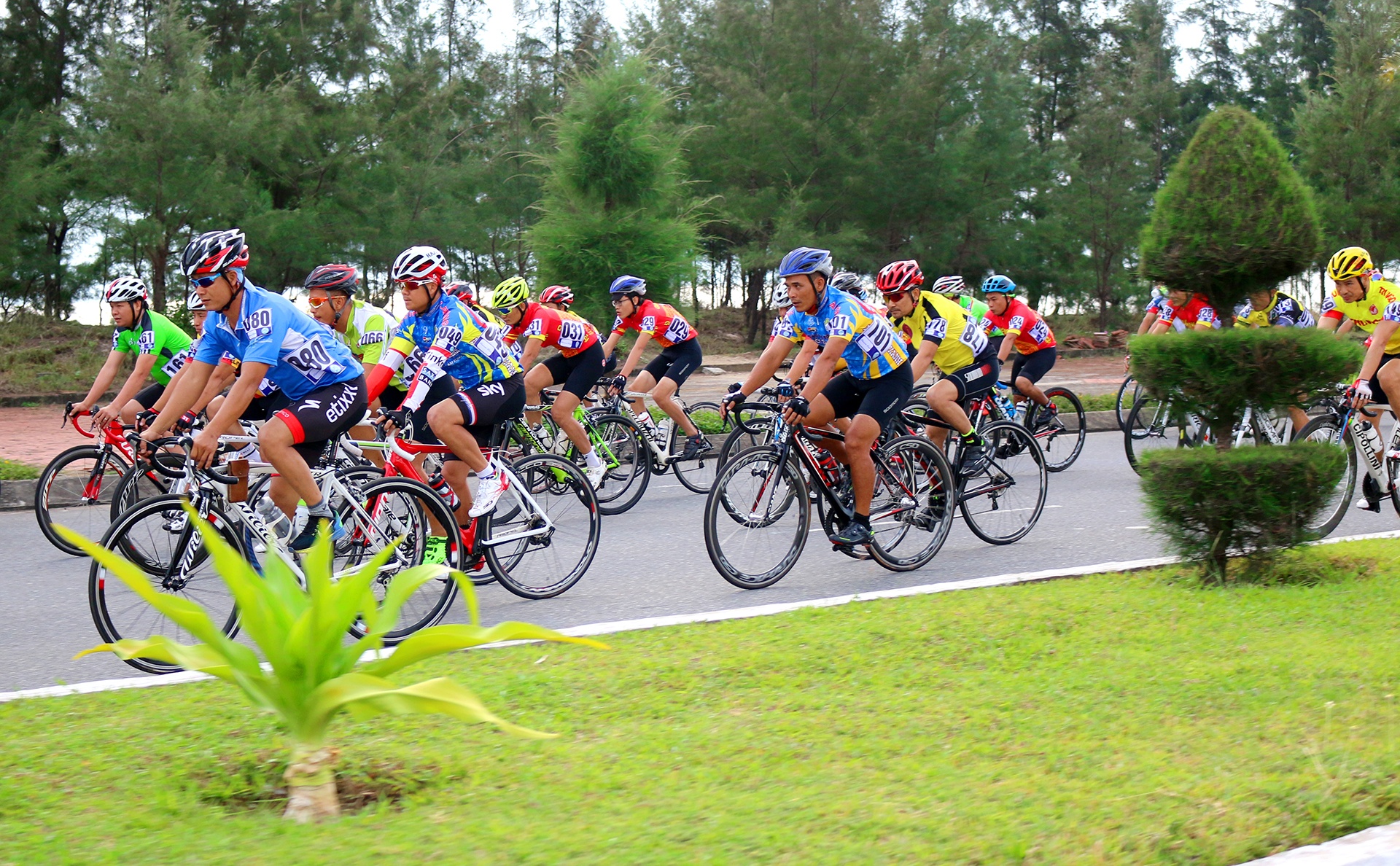 Khoi tranh giai dua xe dap o Da Nang anh 5