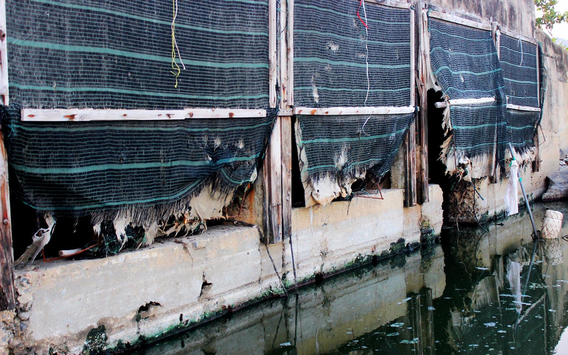 Nuoc thai den ngom chay ra bai bien dep nhat Da Nang hinh anh