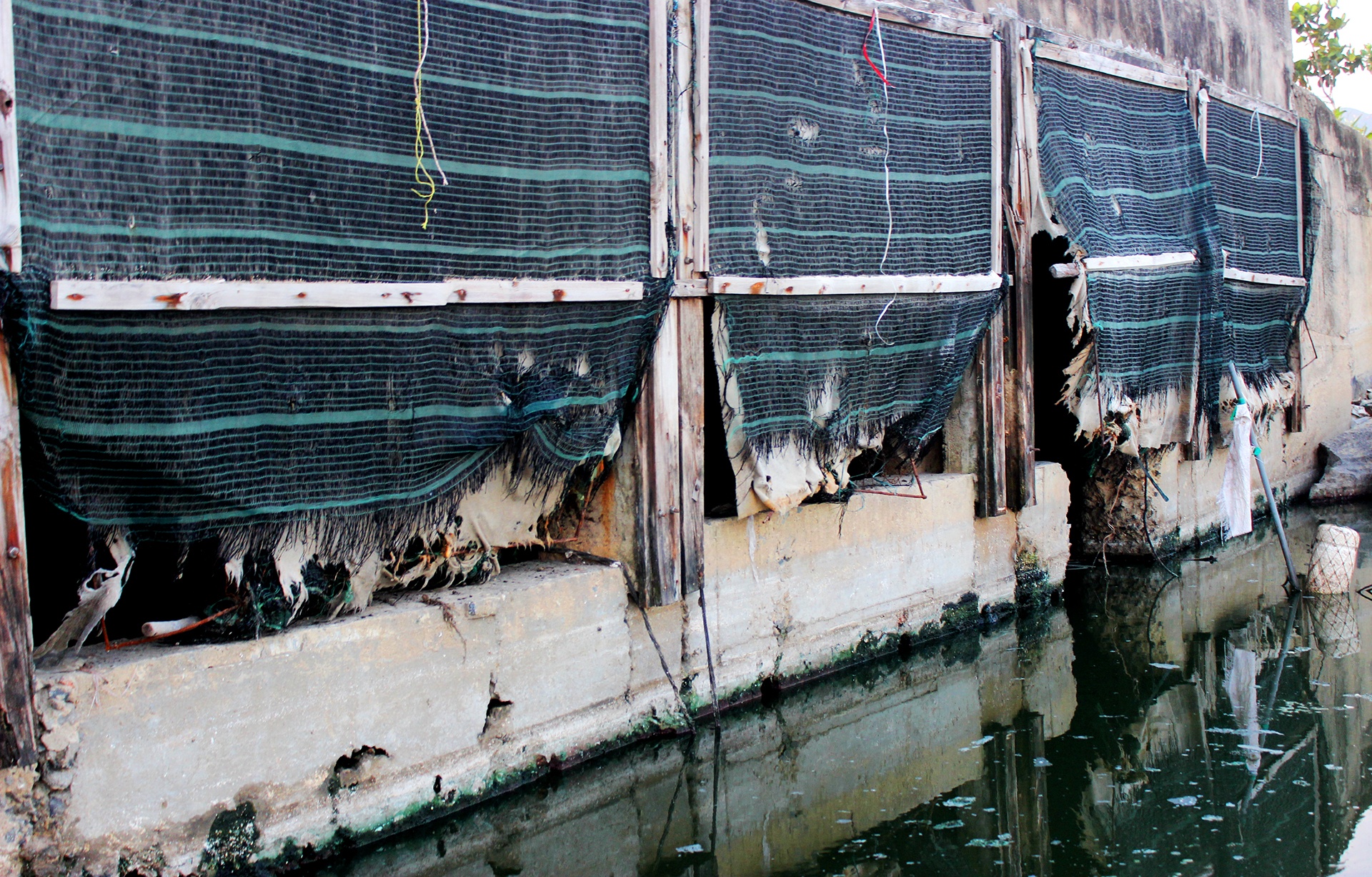 Nuoc thai chay ra bai bien Da Nang anh 7