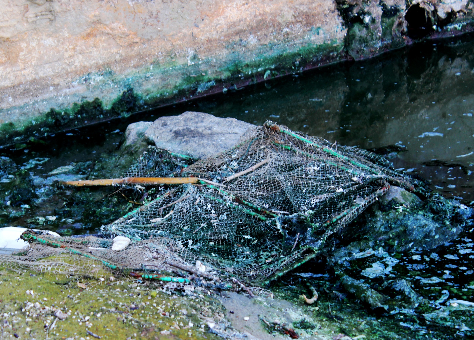 Nuoc thai chay ra bai bien Da Nang anh 9