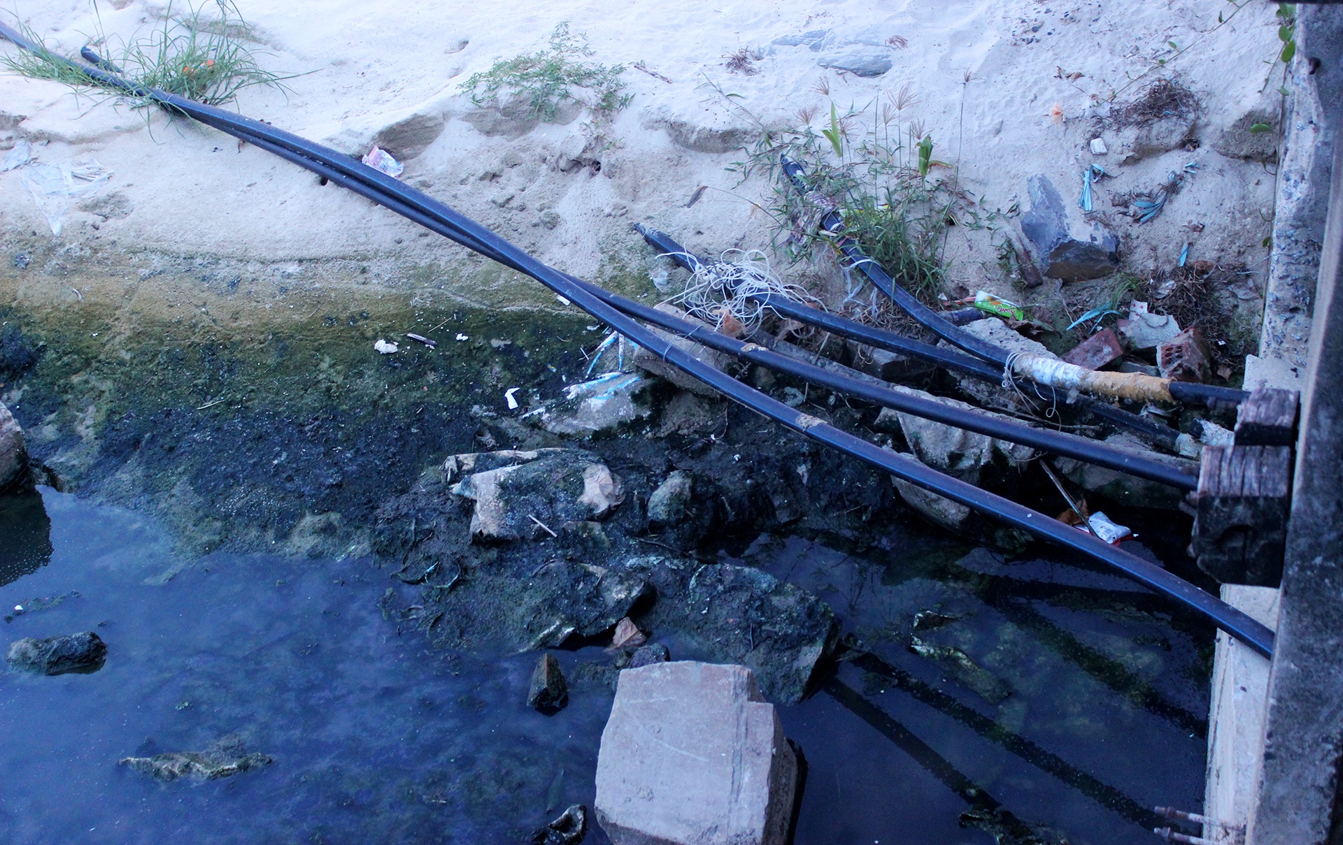 Bi thu Nguyen Xuan Anh yeu cau xu ly vu xa nuoc thai den ngom ra bien hinh anh