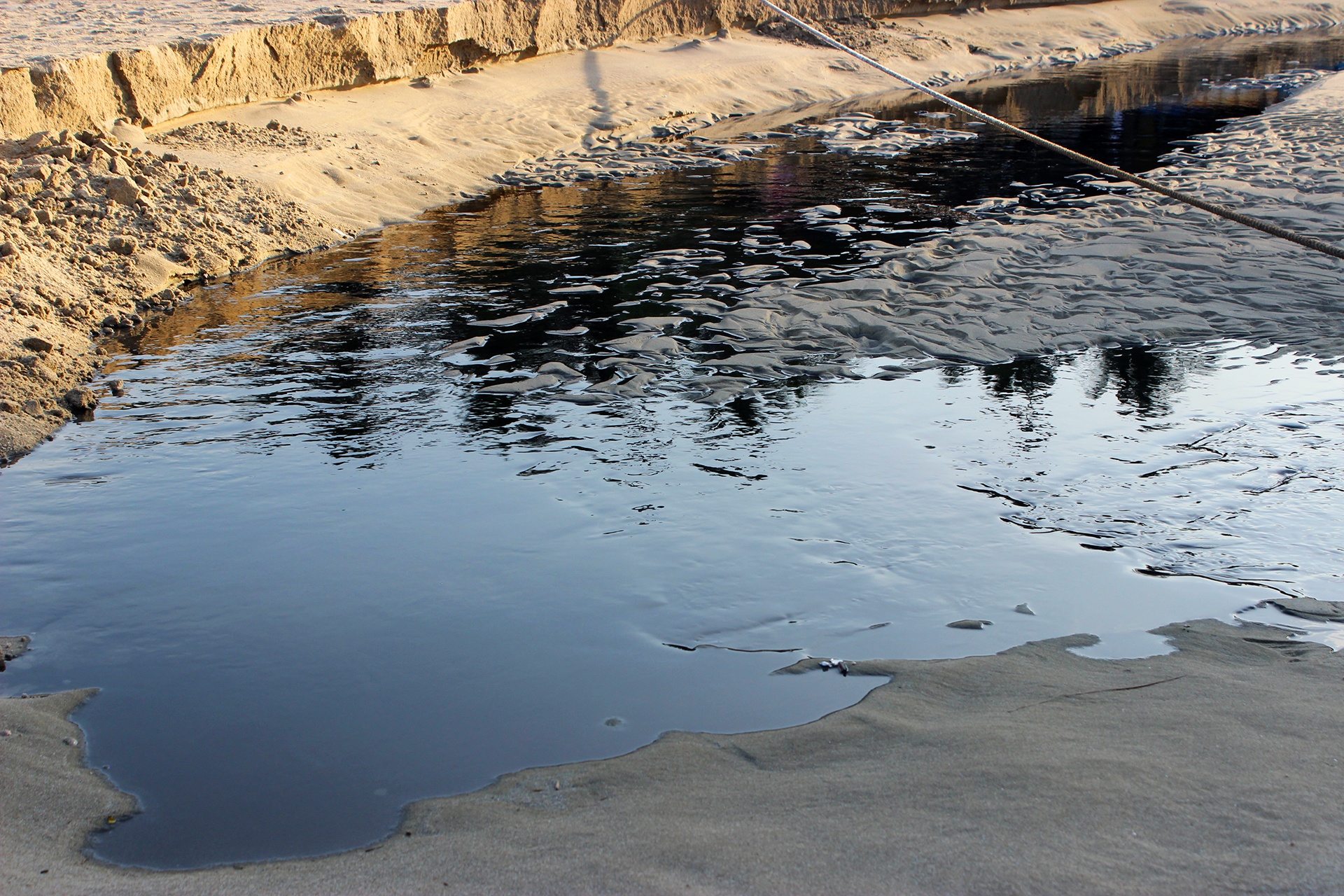 Giam doc cac So phai chiu trach nhiem ve viec xa thai ra bien Da Nang hinh anh