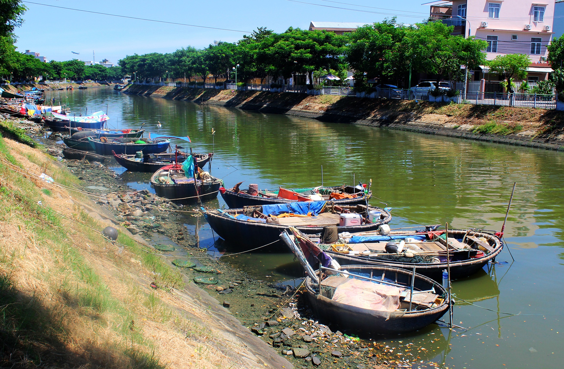 Ca chet noi trang ho tai Da Nang anh 1