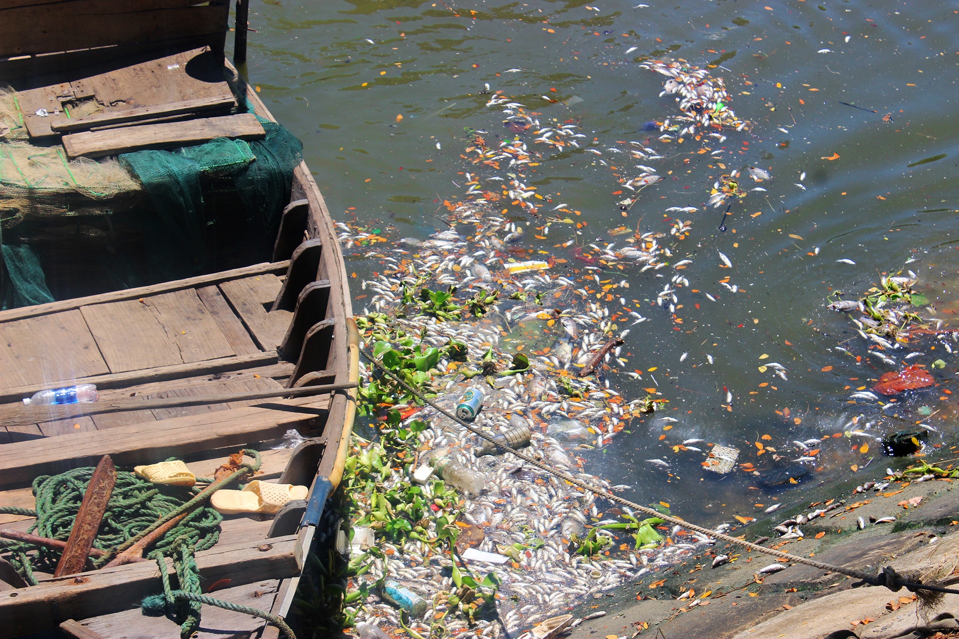 Ca chet noi trang ho tai Da Nang anh 5