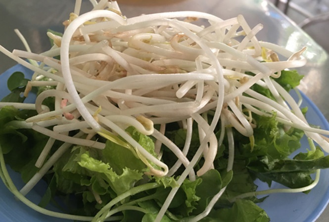 Phat co so su dung chat kich thich trong gia do hinh anh