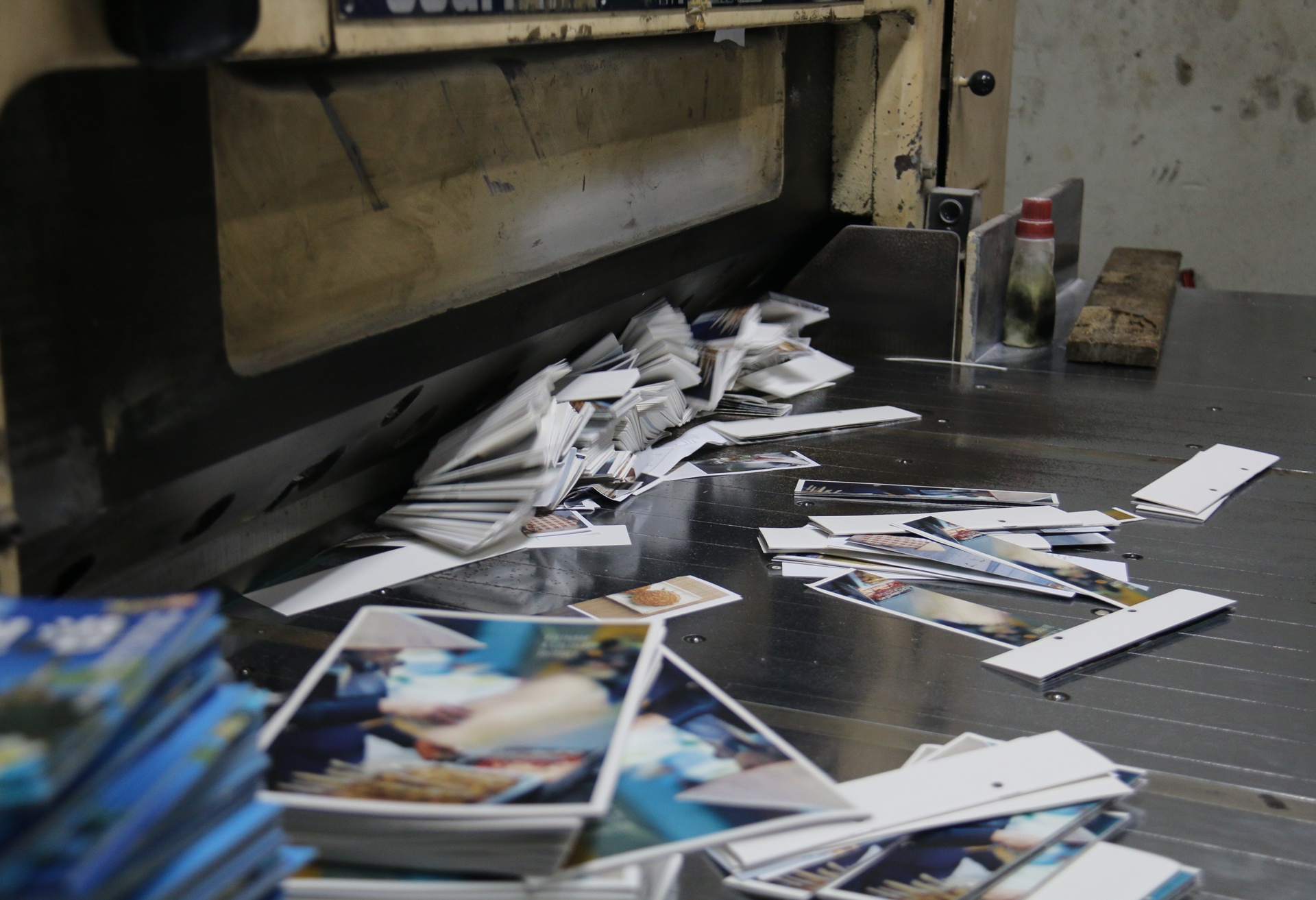 Dieu tra nha sach ban hon 1.000 cuon sach gia hinh anh