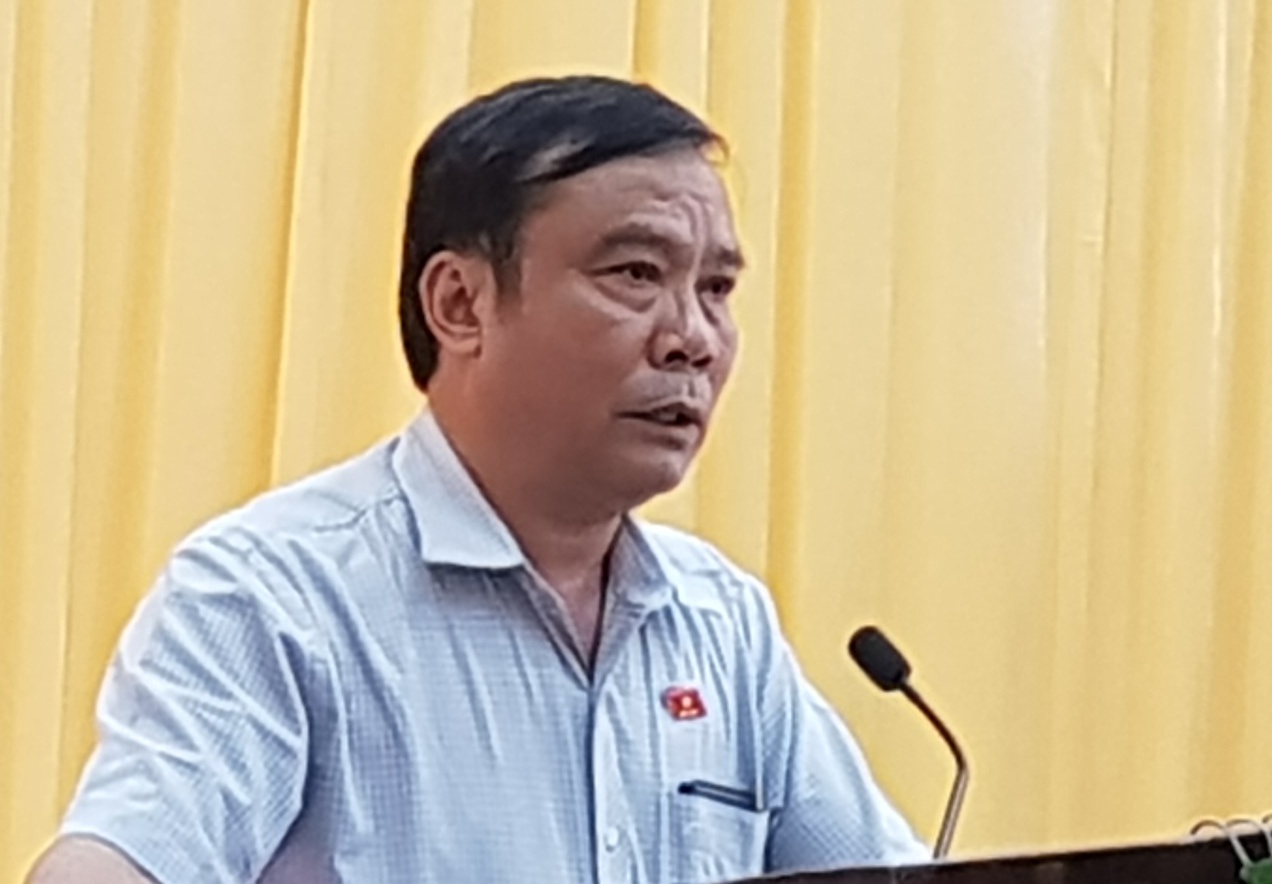 Dai bieu Da Nang: 'Di dau cung thay dan than phien ve tham nhung' hinh anh