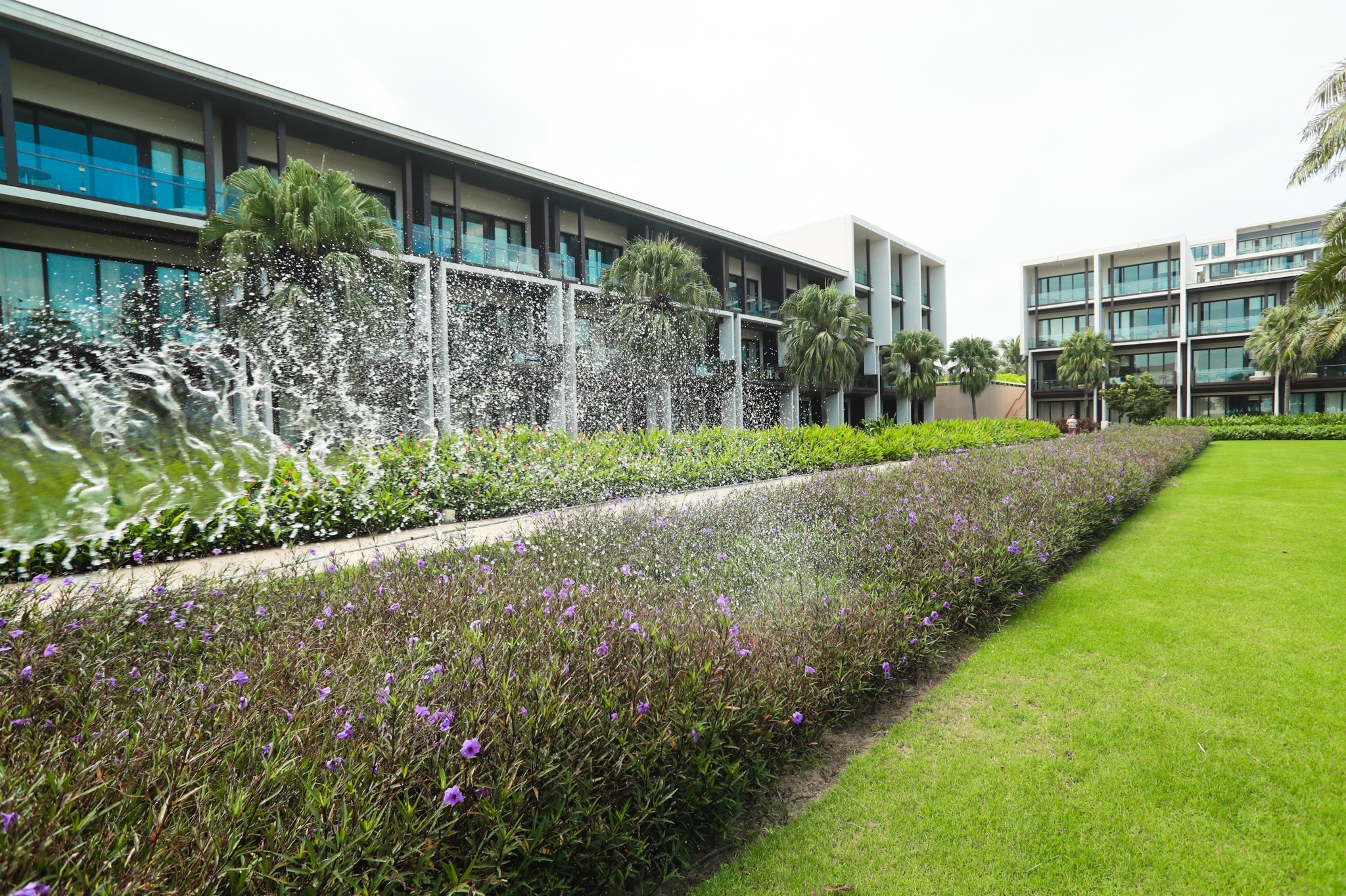 Tuan le cap cao APEC anh 6