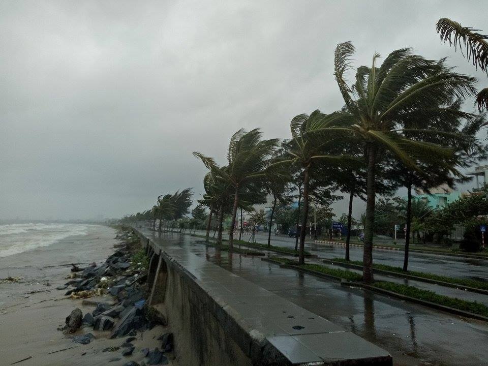 Gio lon khien cay xanh bi do, bang quang ba APEC bi thoi bay hinh anh