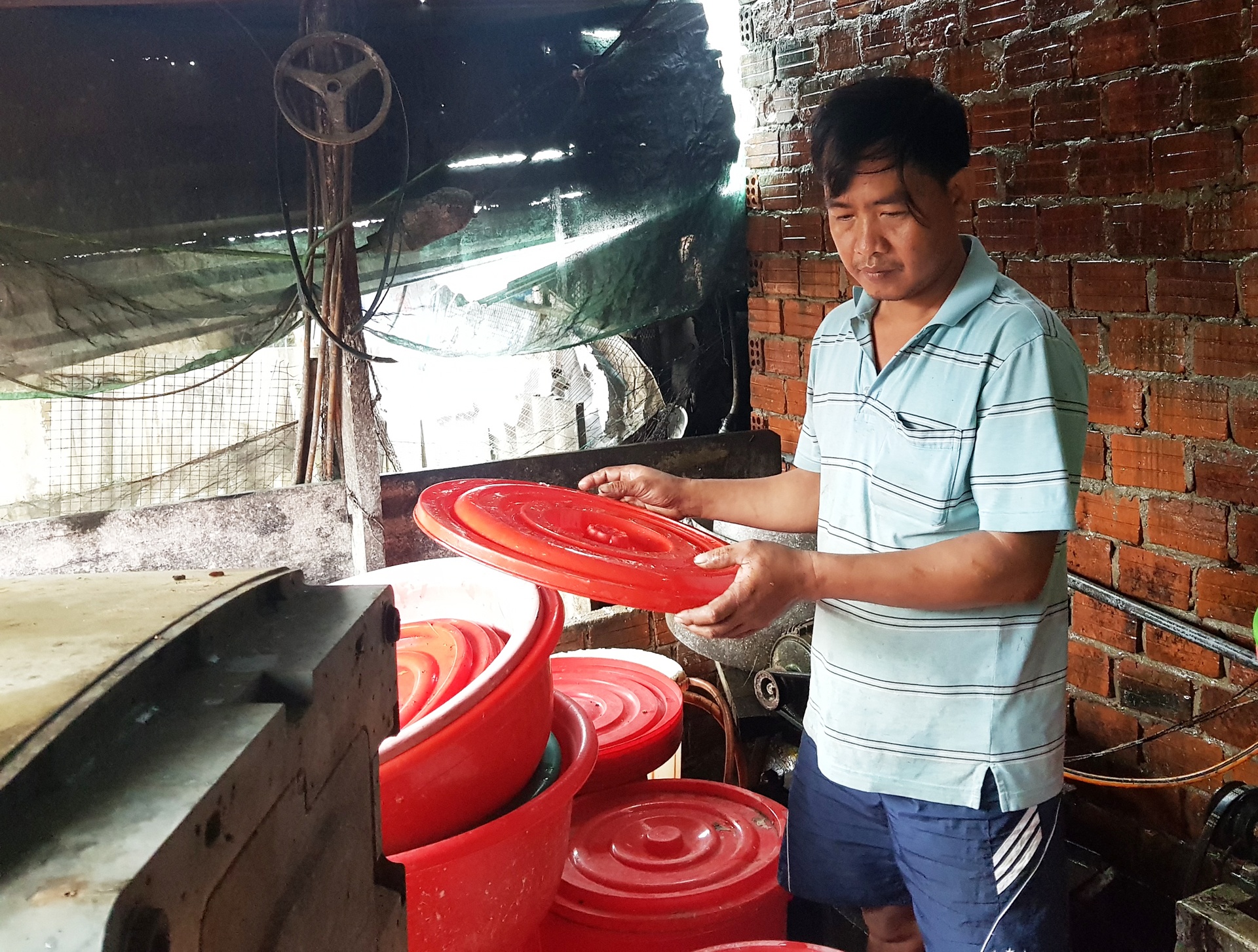 ron lu dai loc anh 12