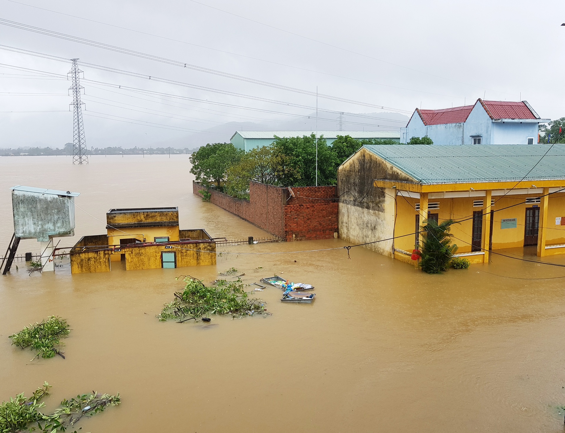 ron lu dai loc anh 2