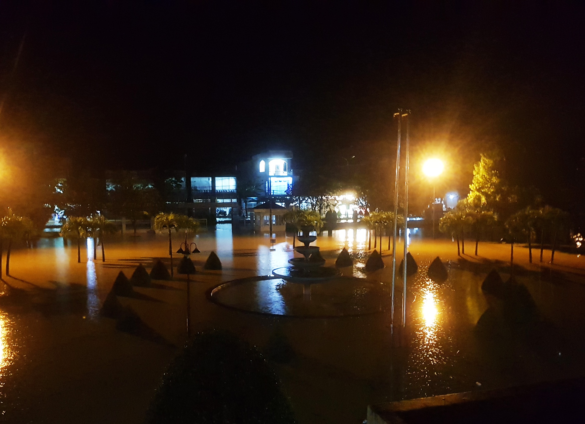 ron lu dai loc anh 1