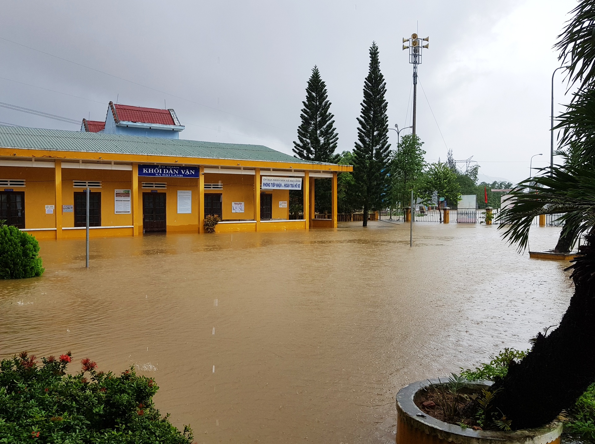 ron lu dai loc anh 3