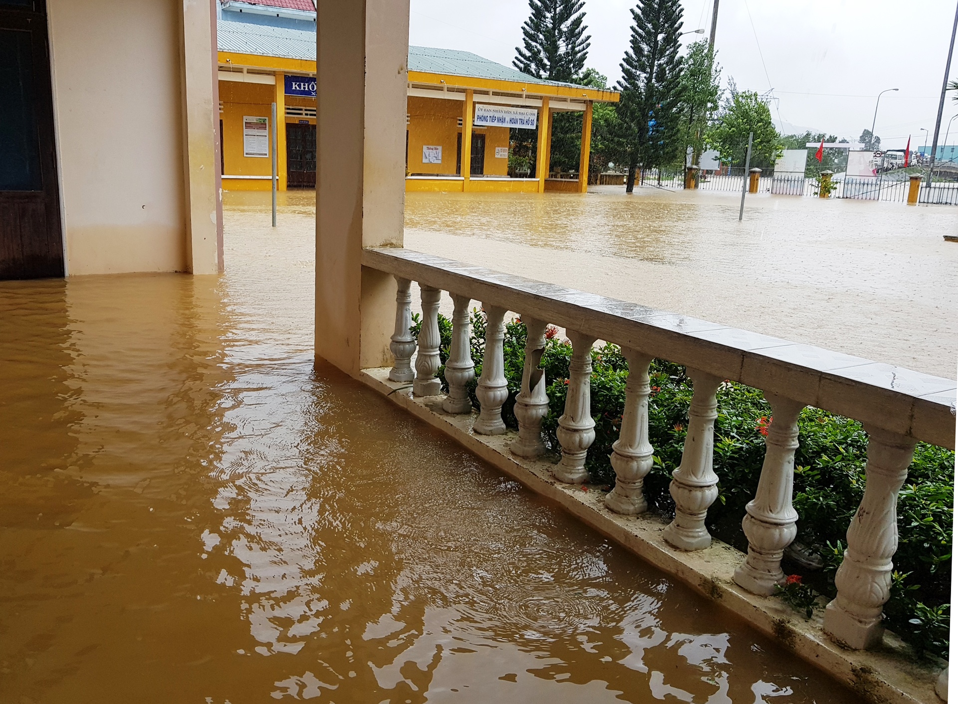 ron lu dai loc anh 6