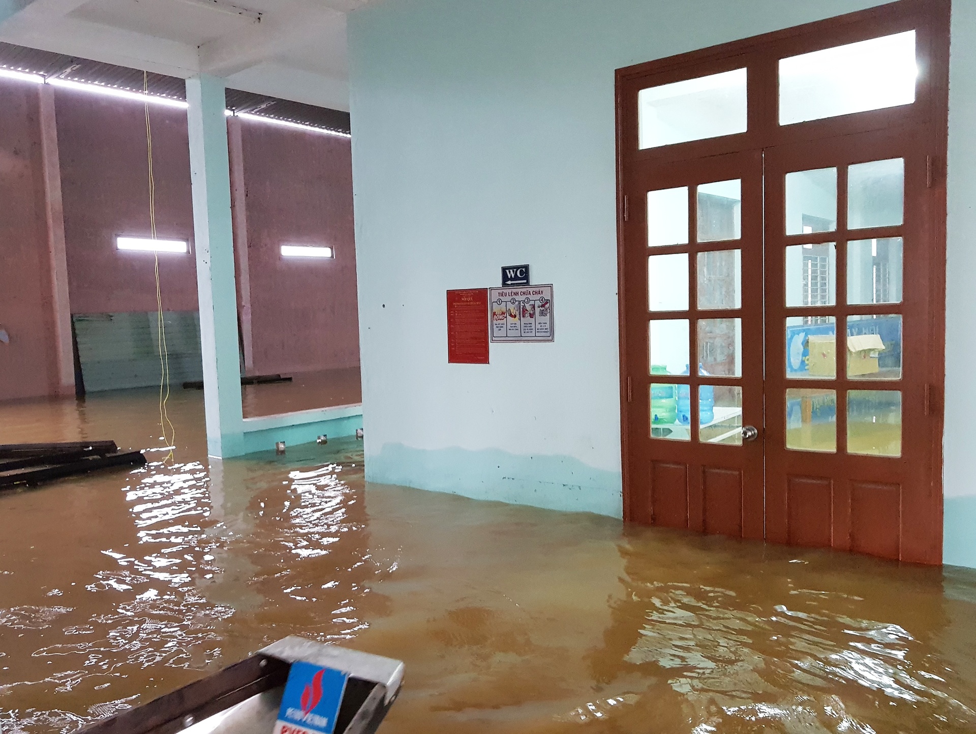 ron lu dai loc anh 10