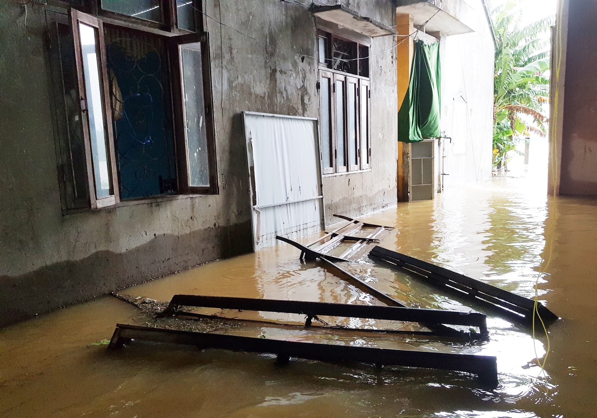 ron lu dai loc anh 9